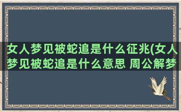 女人梦见被蛇追是什么征兆(女人梦见被蛇追是什么意思 周公解梦)